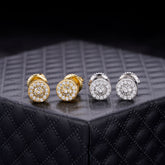 Fortis Sterling Silver Earrings